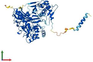 Protein Structure (PS) image for Glycerol Kinase 2 (GK2) (AA 1-553) protein (His tag) (ABIN7547981)