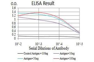 Black line: Control Antigen (100 ng),Purple line: Antigen (10 ng), Blue line: Antigen (50 ng), Red line:Antigen (100 ng) (GRIA2 抗体  (AA 35-175))