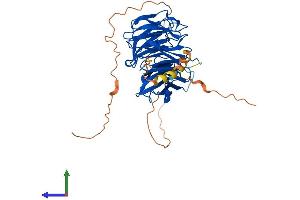 Protein Structure (PS) image for WD Repeat Domain, phosphoinositide Interacting 1 (WIPI1) (AA 1-446) protein (His tag) (ABIN7556043)