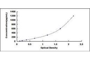 ELISA image for Annexin A4 (ANXA4) ELISA Kit (ABIN6720590)