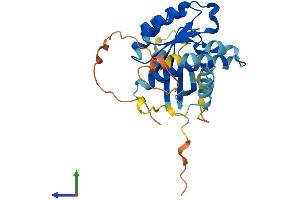 Protein Structure (PS) image for RAB40B, Member RAS Oncogene Family (RAB40B) (AA 1-278) protein (His tag) (ABIN7559928)