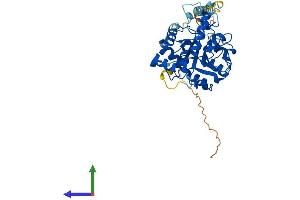 Protein Structure (PS) image for ST3 beta-Galactoside alpha-2,3-Sialyltransferase 5 (ST3GAL5) (AA 1-414) protein (His tag) (ABIN7562667)