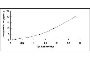 Typical standard curve (FOXQ1 ELISA 试剂盒)