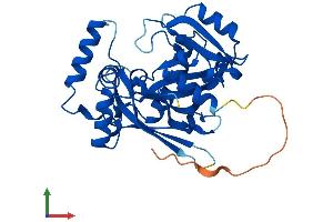 Protein Structure (PS) image for Nudix (Nucleoside Diphosphate Linked Moiety X)-Type Motif 22 (NUDT22) (AA 1-308) protein (His tag) (ABIN7561368)