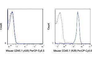 C57Bl/6 (left panel) or SJL (right panel) splenocytes were stained with 0. (CD45.1 抗体  (PerCP-Cy5.5))