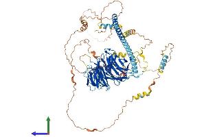 Protein Structure (PS) image for Striatin (STRN) (AA 1-780) protein (His tag) (ABIN7546425)