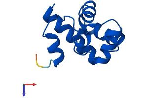 Banf2 Protein (AA 1-90) (His tag)