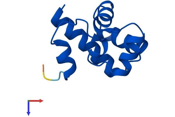 Banf2 Protein (AA 1-90) (His tag)