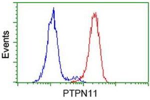 Flow cytometric Analysis of Hela cells, using anti-PTPN11 antibody (ABIN2453869), (Red), compared to a nonspecific negative control antibody, (Blue). (PTPN11 抗体)