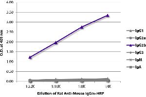 ELISA plate was coated with purified mouse IgG1, IgG2a, IgG2b, IgG3, IgM, and IgA. (大鼠 anti-小鼠 IgG2b Antibody (HRP))