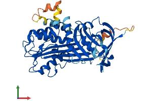 Protein Structure (PS) image for serpin Peptidase Inhibitor, Clade B (Ovalbumin), Member 12 (SERPINB12) (AA 1-405) protein (His tag) (ABIN7546156)