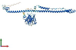 Protein Structure (PS) image for Tripartite Motif Containing 14 (TRIM14) (AA 1-440) protein (His tag) (ABIN7558944)