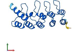 Protein Structure (PS) image for Cyclin-Dependent Kinase Inhibitor 2D (p19, Inhibits CDK4) (CDKN2D) (AA 1-166) protein (His tag) (ABIN7553163)