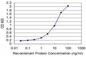 Detection limit for recombinant GST tagged TCEA3 is approximately 0. (TCEA3 抗体  (AA 1-348))