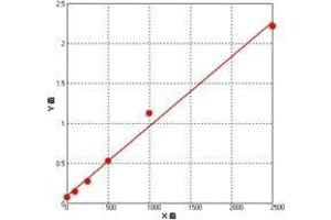 ELISA image for Adrenomedullin (ADM) ELISA Kit (ABIN626265)