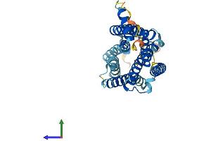 AlphaFold protein structure predicition of Human Recombinant GPR31 Protein, UniprotID O00270 (GPR31 Protein (AA 1-319) (His tag))