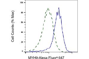 Flow cytometric analysis of MYH9 expression in HepG2 cells using MYH9 antibody (ABIN7799519), 1:1,000). (Myosin 9 抗体)
