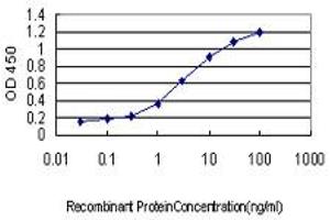 Detection limit for recombinant GST tagged NFYB is approximately 0. (NFYB 抗体  (AA 1-207))