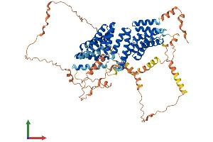 Protein Structure (PS) image for G-Protein Signaling Modulator 1 (GPSM1) (AA 1-675) protein (His tag) (ABIN7554028)