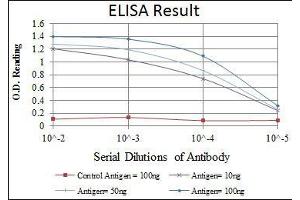 Red: Control Antigen (100 ng), Purple: Antigen (10 ng), Green: Antigen (50 ng), Blue: Antigen (100 ng), (CDK1 抗体)