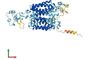 Protein Structure (PS) image for Solute Carrier Family 22 (Organic Cation Transporter), Member 2 (SLC22A2) (AA 1-555) protein (His tag) (ABIN7555347)