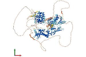 Protein Structure (PS) image for Pleckstrin Homology Domain Containing, Family M (With RUN Domain) Member 1 (PLEKHM1) (AA 1-1056) protein (His tag) (ABIN7554955)