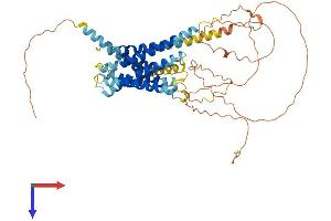 GPR75 Protein (AA 1-540) (His tag)