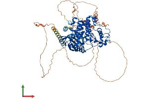 Protein Structure (PS) image for SRSF Protein Kinase 1 (SRPK1) (AA 1-655) protein (His tag) (ABIN7555649)