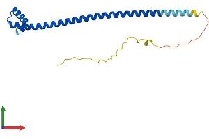 Protein Structure (PS) image for DPY30 Domain Containing 1 (DYDC1) (AA 1-175) protein (His tag) (ABIN7561186)