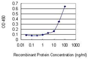 Detection limit for recombinant GST tagged RASA1 is 1 ng/ml as a capture antibody. (RASA1 抗体  (AA 948-1047))