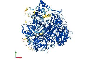 Protein Structure (PS) image for Phosphoribosylformylglycinamidine Synthase (PFAS) (AA 1-1338) protein (His tag) (ABIN7555099)