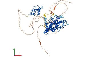 Protein Structure (PS) image for Estrogen Receptor 2 (ESR2) (AA 1-530) protein (His tag) (ABIN7562165)