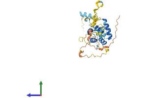 Protein Structure (PS) image for Calponin 1 (CNN1) (AA 1-297) protein (His tag) (ABIN7546644)