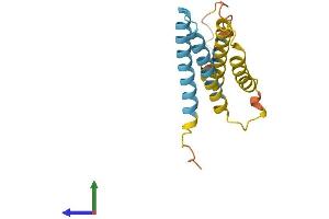 Protein Structure (PS) image for CKLF-Like MARVEL Transmembrane Domain Containing 5 (CMTM5) (AA 1-156) protein (His tag) (ABIN7561042)