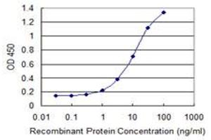 Detection limit for recombinant GST tagged CREB3L2 is 0. (CREB3L2 抗体  (AA 421-518))