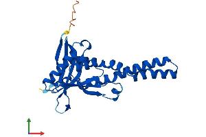 Protein Structure (PS) image for N-Acetyltransferase 8B (GCN5-Related, Putative, Gene/pseudogene) (NAT8B) (AA 1-232) protein (His tag) (ABIN7562113)