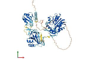 Protein Structure (PS) image for AlkB, Alkylation Repair Homolog 8 (ALKBH8) (AA 1-664) protein (His tag) (ABIN7552019)