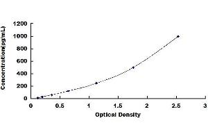 Typical standard curve (STING/TMEM173 ELISA 试剂盒)