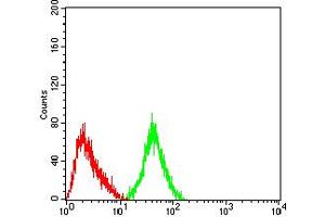 Flow cytometric analysis of SH-SY5Y cells using GRM3 mouse mAb (green) and negative control (red). (Metabotropic Glutamate Receptor 3 抗体  (AA 433-576))