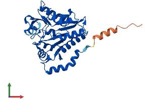 AlphaFold protein structure predicition of Human Recombinant GNPDA1 Protein, UniprotID P46926 (GNPDA1 Protein (AA 1-289) (His tag))