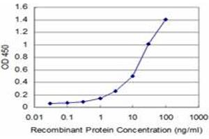 Detection limit for recombinant GST tagged AKT2 is approximately 1ng/ml as a capture antibody. (AKT2 抗体  (AA 100-189))