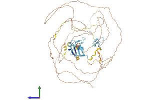 Protein Structure (PS) image for Ewing Sarcoma Breakpoint Region 1 (EWSR1) (AA 1-656) protein (His tag) (ABIN7553876)