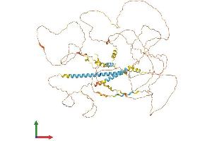 Protein Structure (PS) image for Mastermind-Like Domain Containing 1 (MAMLD1) (AA 1-803) protein (His tag) (ABIN7562799)