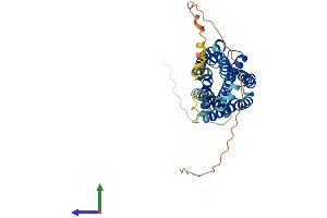 AlphaFold protein structure predicition of Mouse Recombinant P2ry2 Protein, UniprotID P35383