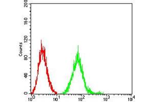 Flow Cytometry (FACS) image for anti-Glutamate Receptor, Ionotropic, N-Methyl D-Aspartate 2B (GRIN2B) (AA 27-163) antibody (ABIN5611338)