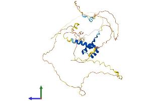 AlphaFold protein structure predicition of Human Recombinant HOXA2 Protein, UniprotID O43364
