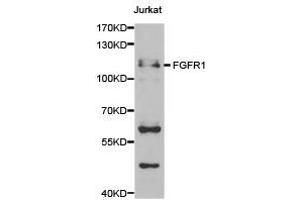 Western Blotting (WB) image for anti-Fibroblast Growth Factor Receptor 1 (FGFR1) antibody (ABIN1872687) (FGFR1 抗体)