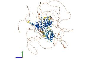 AlphaFold protein structure predicition of Human Recombinant SENP6 Protein, UniprotID Q9GZR1 (SENP6 Protein (AA 1-1112) (His tag))