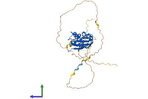 Protein Structure (PS) image for Protein Tob1 (TOB1) (AA 1-345) protein (His tag) (ABIN7544661)