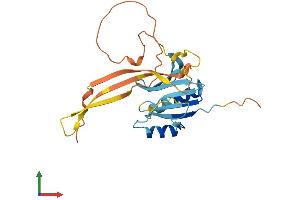 Protein Structure (PS) image for Ornithine Decarboxylase Antizyme 3 (OAZ3) (AA 1-243) protein (His tag) (ABIN7556207)
